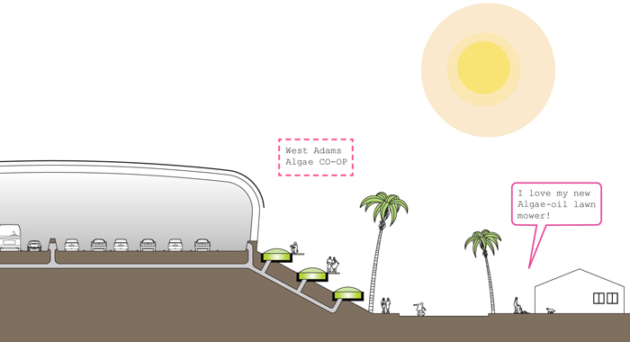 Section of linear algae farms