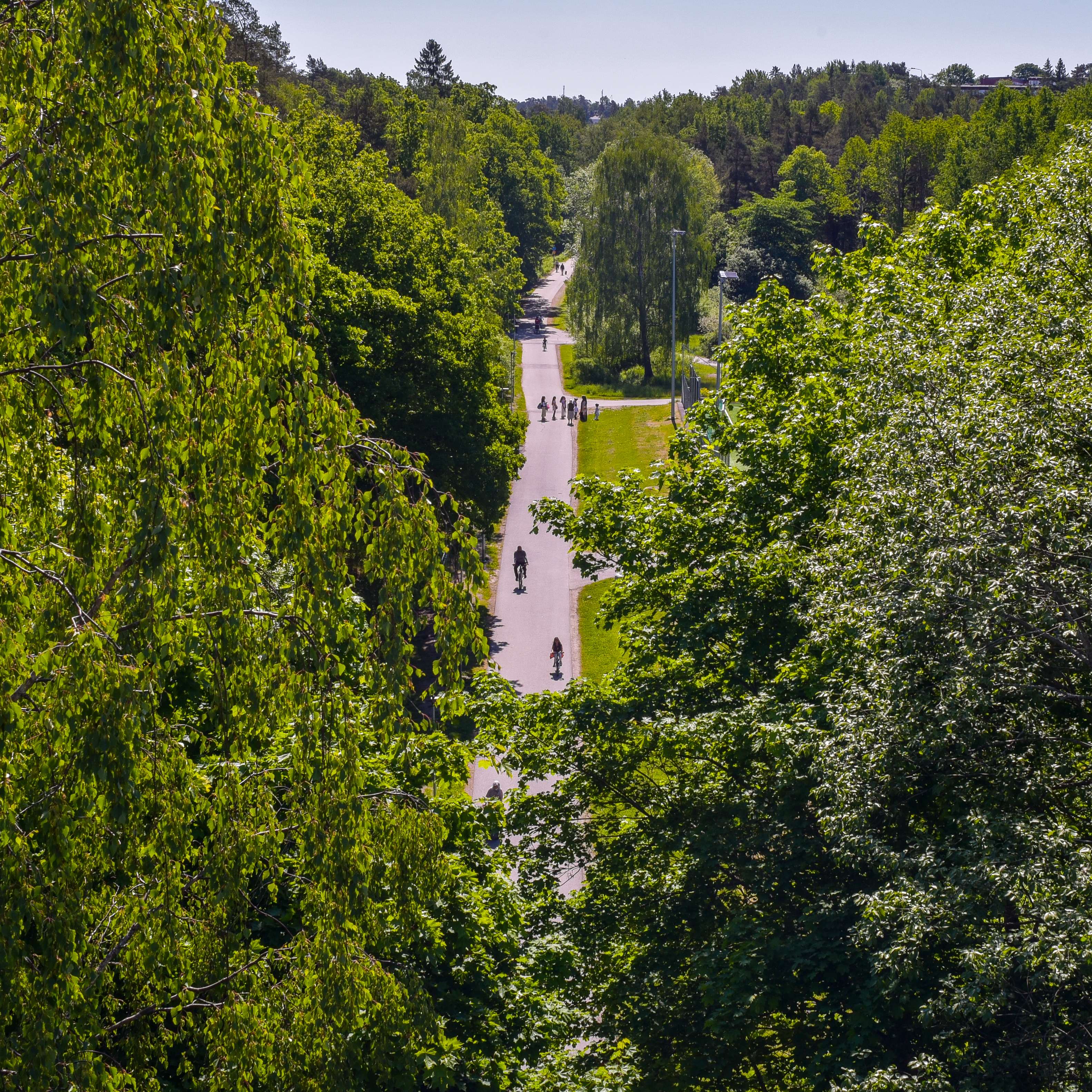 Gamla landsvägen som löper öst-västligt genom dalen Foto: Staffan Andersson